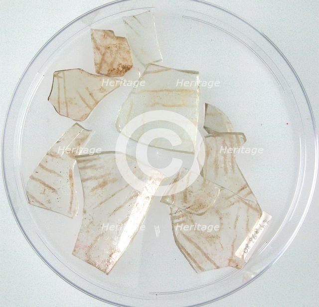 Glass Fragments, Coptic, 4th-early 5th century. Creator: Unknown.