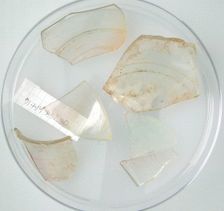 Glass Fragments, Coptic, 4th-early 5th century. Creator: Unknown