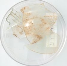 Glass Fragments, Coptic, 4th-early 5th century. Creator: Unknown