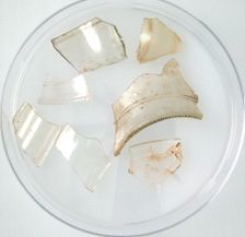 Glass Fragments, Coptic, 4th-early 5th century. Creator: Unknown