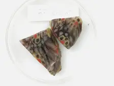 Glass Fragments from a Vessel, Coptic, 4th-early 5th century. Creator: Unknown