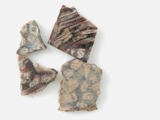 Glass Fragments from a Vessel, Coptic, 4th-early 5th century. Creator: Unknown