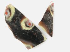 Glass Fragments from a Vessel, Coptic, 4th-early 5th century. Creator: Unknown
