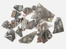 Glass Fragments from a Vessel, Coptic, 4th-early 5th century. Creator: Unknown