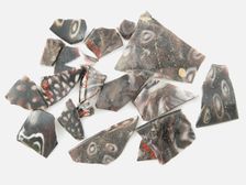 Glass Fragments from a Vessel, Coptic, 4th-early 5th century. Creator: Unknown