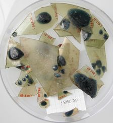 Glass Fragments from a Vessel, Coptic, 4th-early 5th century. Creator: Unknown