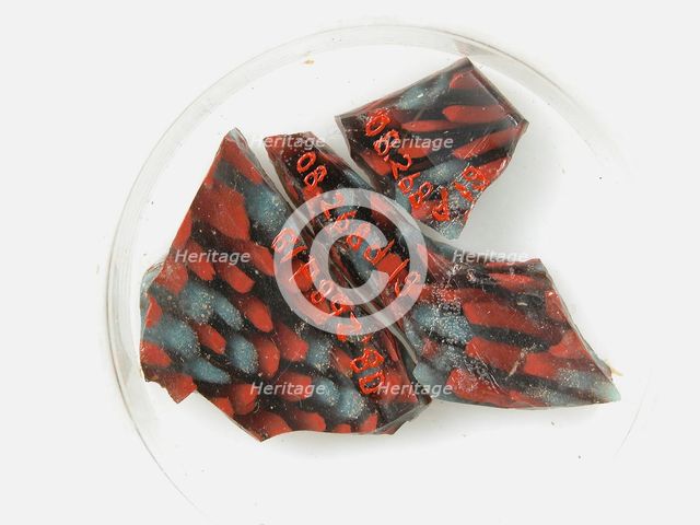 Glass Fragments from a Vessel, Coptic, 4th-early 5th century. Creator: Unknown.