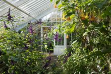 Glasshouse, Denmans Garden, Fontwell, West Sussex, 2018. Creator: James O Davies