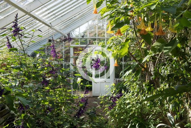 Glasshouse, Denmans Garden, Fontwell, West Sussex, 2018. Creator: James O Davies.