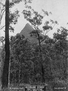 Glasshouse Mountains, Mount Beerwah, 1894. Creator: Unknown