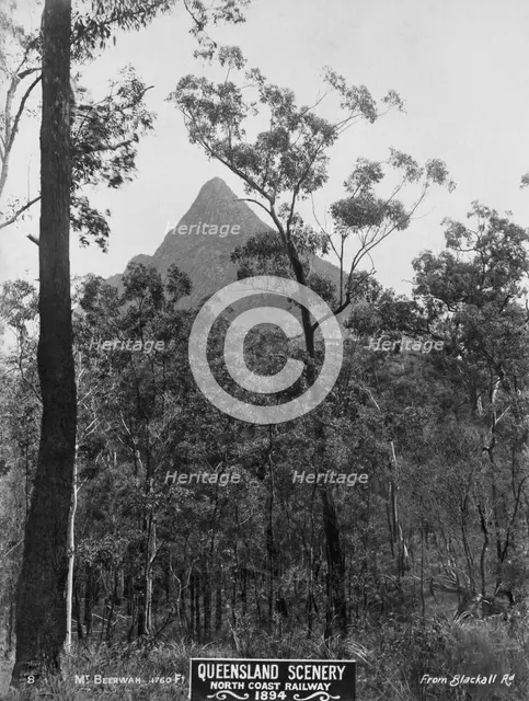 Glasshouse Mountains, Mount Beerwah, 1894. Creator: Unknown.