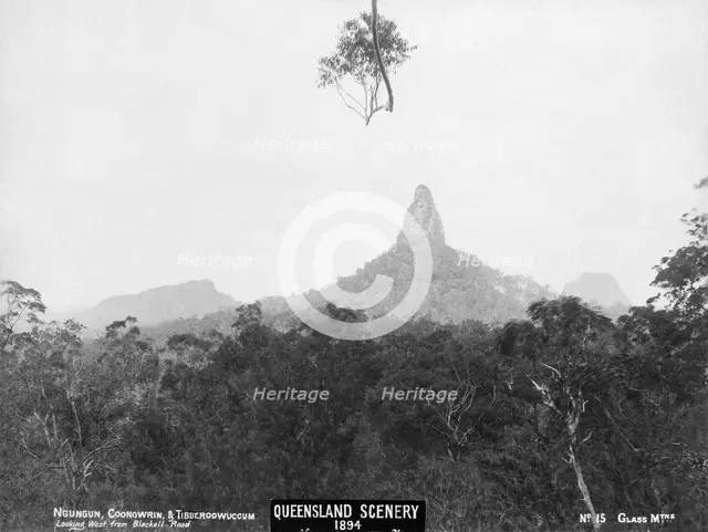 Glasshouse Mountains, Ngungun, Coonowrin and Tibberoowuccum, 1894. Creator: Unknown.
