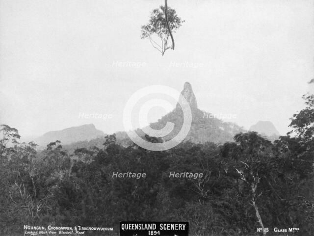 Glasshouse Mountains, Ngungun, Coonowrin and Tibberoowuccum, 1894. Creator: Unknown.