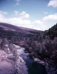 Glen Affric, Scotland, c1955. Creator: Arthur Charles Kirby Ware