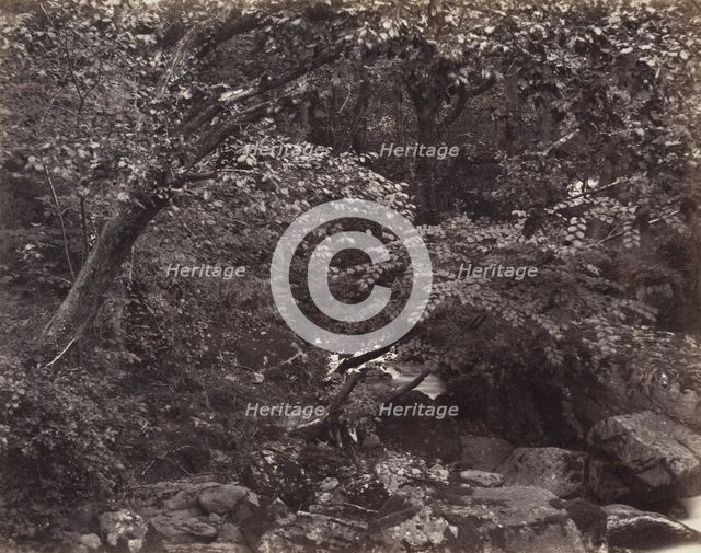 Glen at Lynmouth, 1860s. Creators: Francis Frith, Francis Bedford.