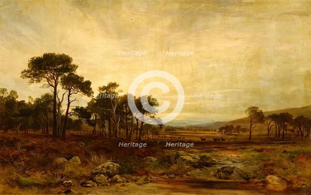 Glen Dee Deer-Forest, 1869. Creator: James Docharty.