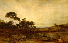 Glen Dee Deer-Forest, 1869. Creator: James Docharty