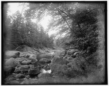 Glen Ellis, Jackson, N.H., between 1890 and 1901. Creator: Unknown
