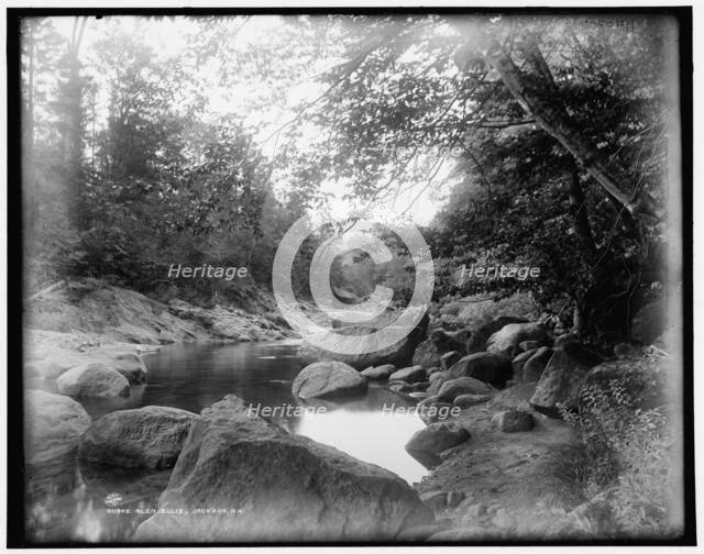 Glen Ellis, Jackson, N.H., between 1890 and 1901. Creator: Unknown.
