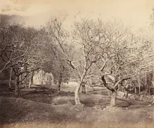 Glen Forsa, Isle of Mull, ca. 1858. Creator: Horatio Ross