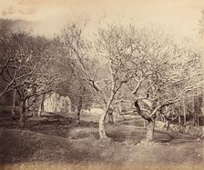 Glen Forsa, Isle of Mull, ca. 1858. Creator: Horatio Ross