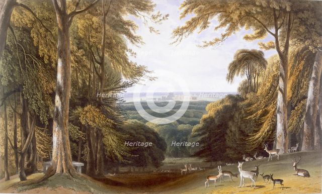 Glen in Windsor Park near Bishops Gate, c1827-30. Creator: William Daniell (1769-1837).