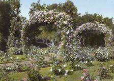 "Glen Oaks," James Hobart Moore house, East Valley Road, Montecito, California, 1917. Creator: Frances Benjamin Johnston