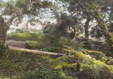 "Glen Oaks," James Hobart Moore house, East Valley Road, Montecito, California, 1917. Creator: Frances Benjamin Johnston