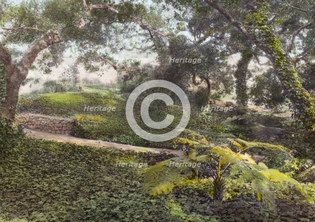 "Glen Oaks," James Hobart Moore house, East Valley Road, Montecito, California, 1917. Creator: Frances Benjamin Johnston.