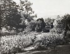 "Glen Oaks," James Hobart Moore house, East Valley Road, Montecito, California, 1917. Creator: Frances Benjamin Johnston