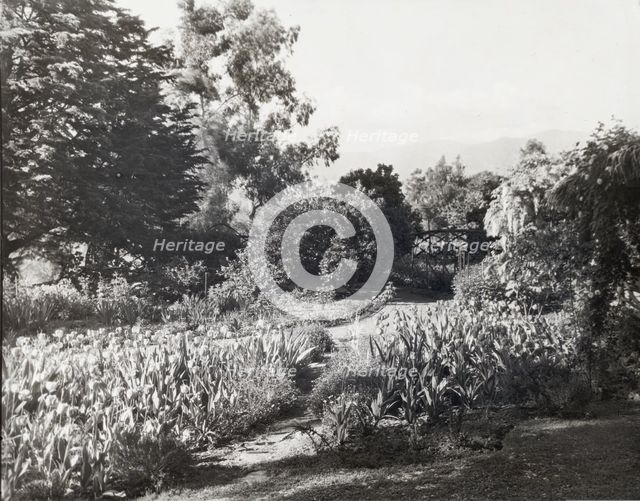 "Glen Oaks," James Hobart Moore house, East Valley Road, Montecito, California, 1917. Creator: Frances Benjamin Johnston.