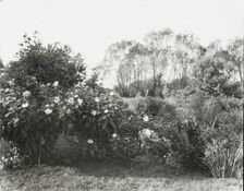 "Glen Oaks," James Hobart Moore house, East Valley Road, Montecito, California, 1917. Creator: Frances Benjamin Johnston