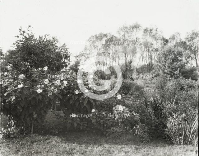 "Glen Oaks," James Hobart Moore house, East Valley Road, Montecito, California, 1917. Creator: Frances Benjamin Johnston.