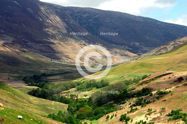 Glen Roy, Highland, Scotland. Creator: Peter Thompson.