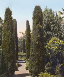 "Glendessary," Robert Cameron Rogers house, Glendessary Lane, Santa Barbara, California, 1917. Creator: Frances Benjamin Johnston