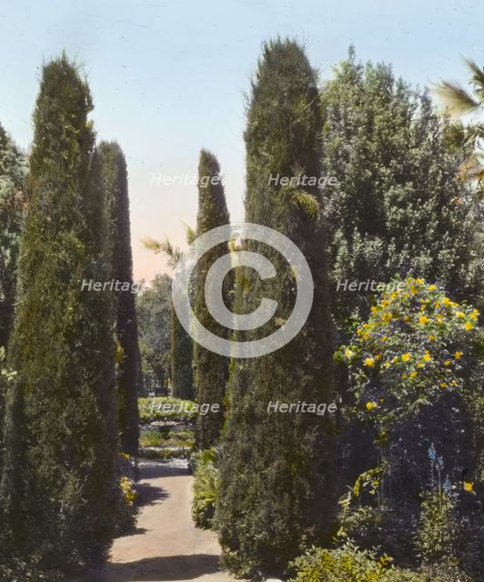"Glendessary," Robert Cameron Rogers house, Glendessary Lane, Santa Barbara, California, 1917. Creator: Frances Benjamin Johnston.