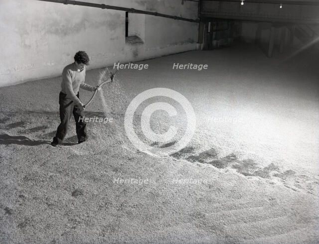 Glenlivet Distillery, Scotland, c1955. Creator: Arthur Charles Kirby Ware.
