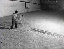 Glenlivet Distillery, Scotland, c1955. Creator: Arthur Charles Kirby Ware