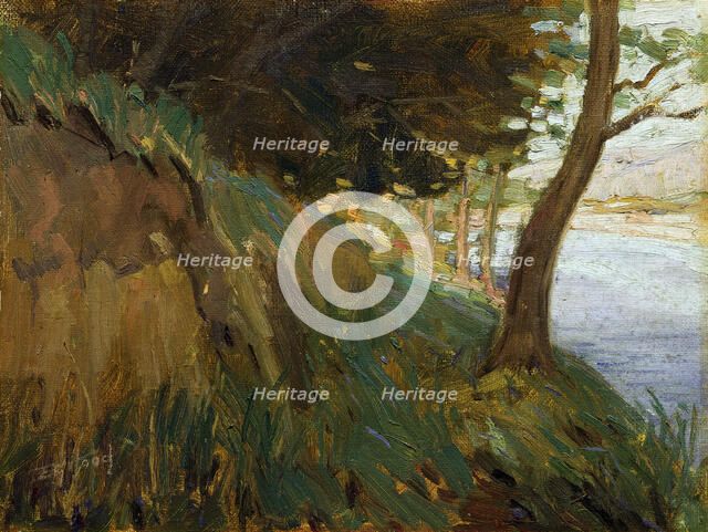 Glimpse of the Hutt River, Western Hutt, (c1910s). Creator: Ernest George Hood.