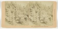 Glories of Mt. Washington, Midwinter, 1895. Creator: BW Kilburn