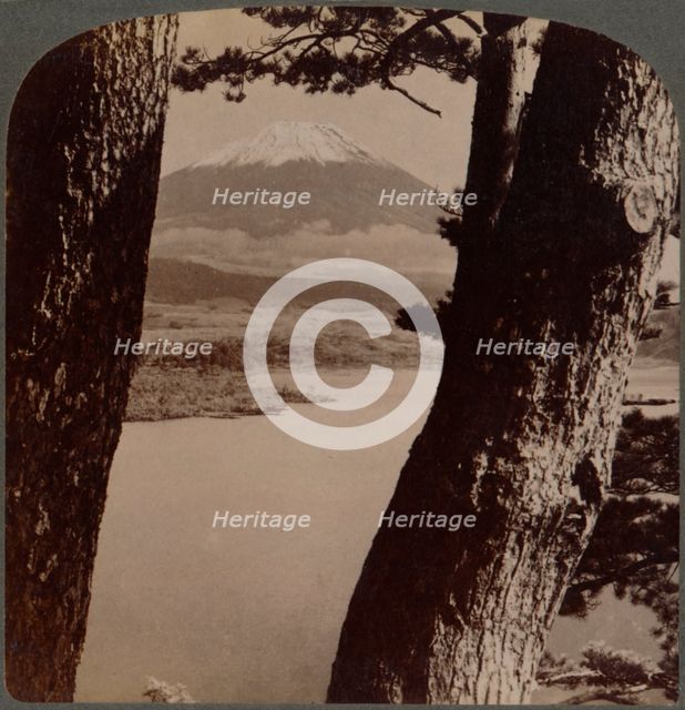 'Glorious Fuji, beloved by artists and poets, seen through pines at Lake Motosu, Japan', 1904. Artist: Unknown.
