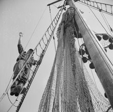 Gloucester fisherman standing in the rigging of a New England fishing boat, New York, 1943. Creator: Gordon Parks