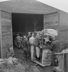 Grading potatoes, preparing for shipment..., ten miles south of Merrill, Oregon, 1939. Creator: Dorothea Lange