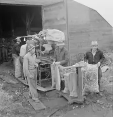Grading potatoes, preparing for shipment..., ten miles south of Merrill, Oregon, 1939. Creator: Dorothea Lange