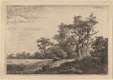 Grain Field at the Edge of a Wood (Corn Field). Creator: Jacob van Ruisdael