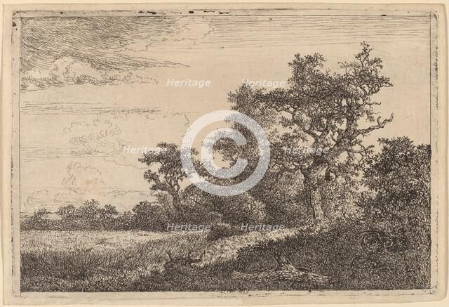 Grain Field at the Edge of a Wood (Corn Field). Creator: Jacob van Ruisdael.