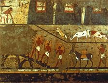 Grain storage, painting from a tomb