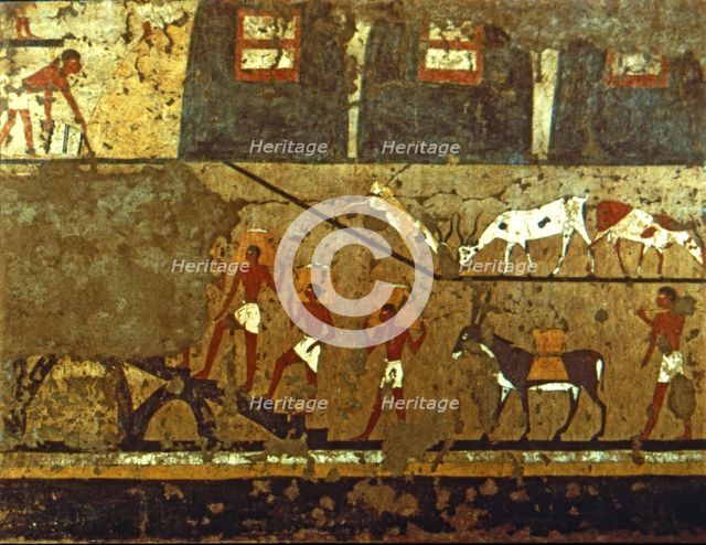Grain storage, painting from a tomb.