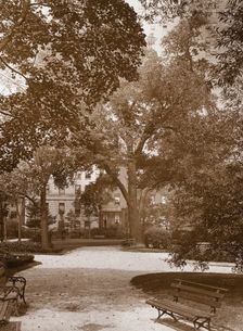 Gramercy Park, between East 20th and East 21st Streets east of Park Avenue, New York, c1922. Creator: Frances Benjamin Johnston