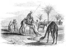 Grand Cairo to Gaza - Village on the Borders of the Desert, 1857. Creator: Smyth